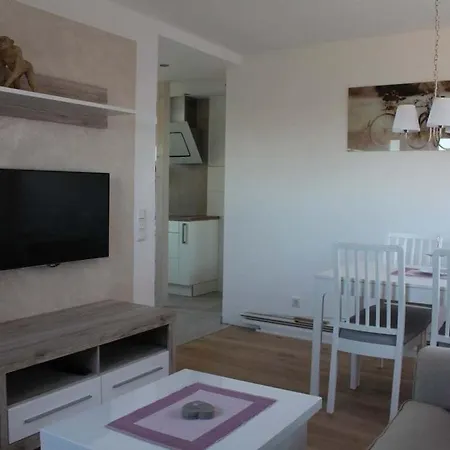 With Style Zoogefluester