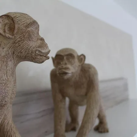 With Style Zoogefluester Dom wakacyjny Grömitz