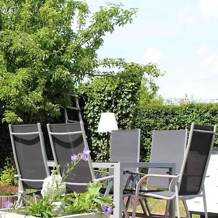 With Style Zoogefluester *