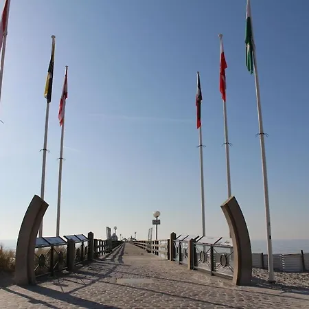 With Style Zoogefluester *